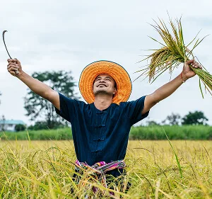 Agri-Tech and Innovation  Updates - 世界杯赛程