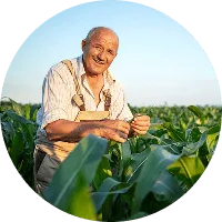 Revolutionizing the Way  Food is Grown - 世界杯赛程