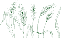 Cultivating Growth The
                                      - 世界杯赛程