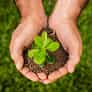 Join the Movement to Grow the World - 世界杯赛程