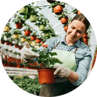 Organic Farming - 世界杯赛程