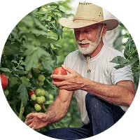 Organic Farming - 世界杯赛程