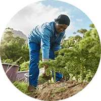 Organic Farming - 世界杯赛程