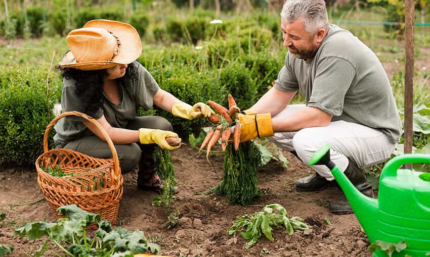 Revolutionizing the Way Food is Grown - 世界杯赛程