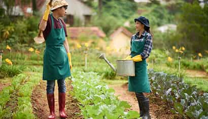 Revolutionizing the Way Food is Grown - 世界杯赛程